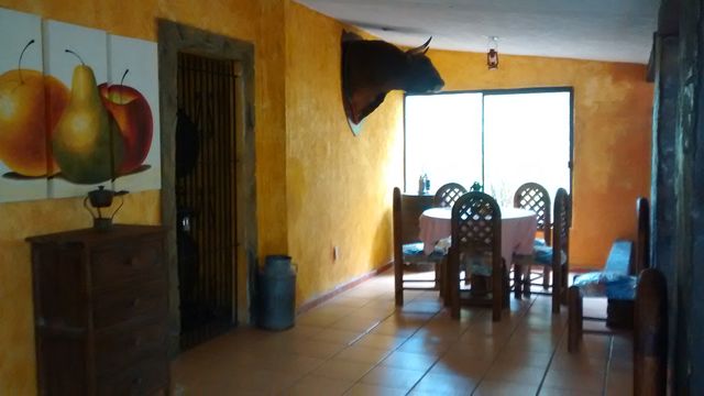 Privado de Cava para vino
