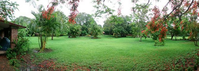 Areas Verdes y Jardines